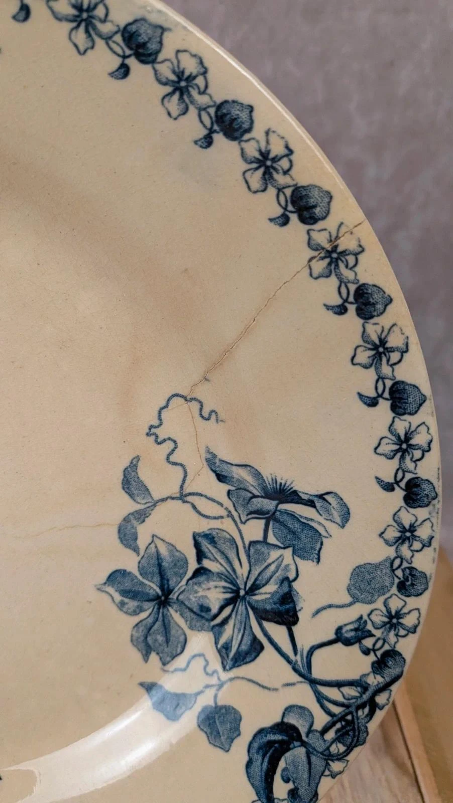 Assiette ancienne Terre de Fer Vieillard & Cie Bordeaux modèle Clématite – photo 4